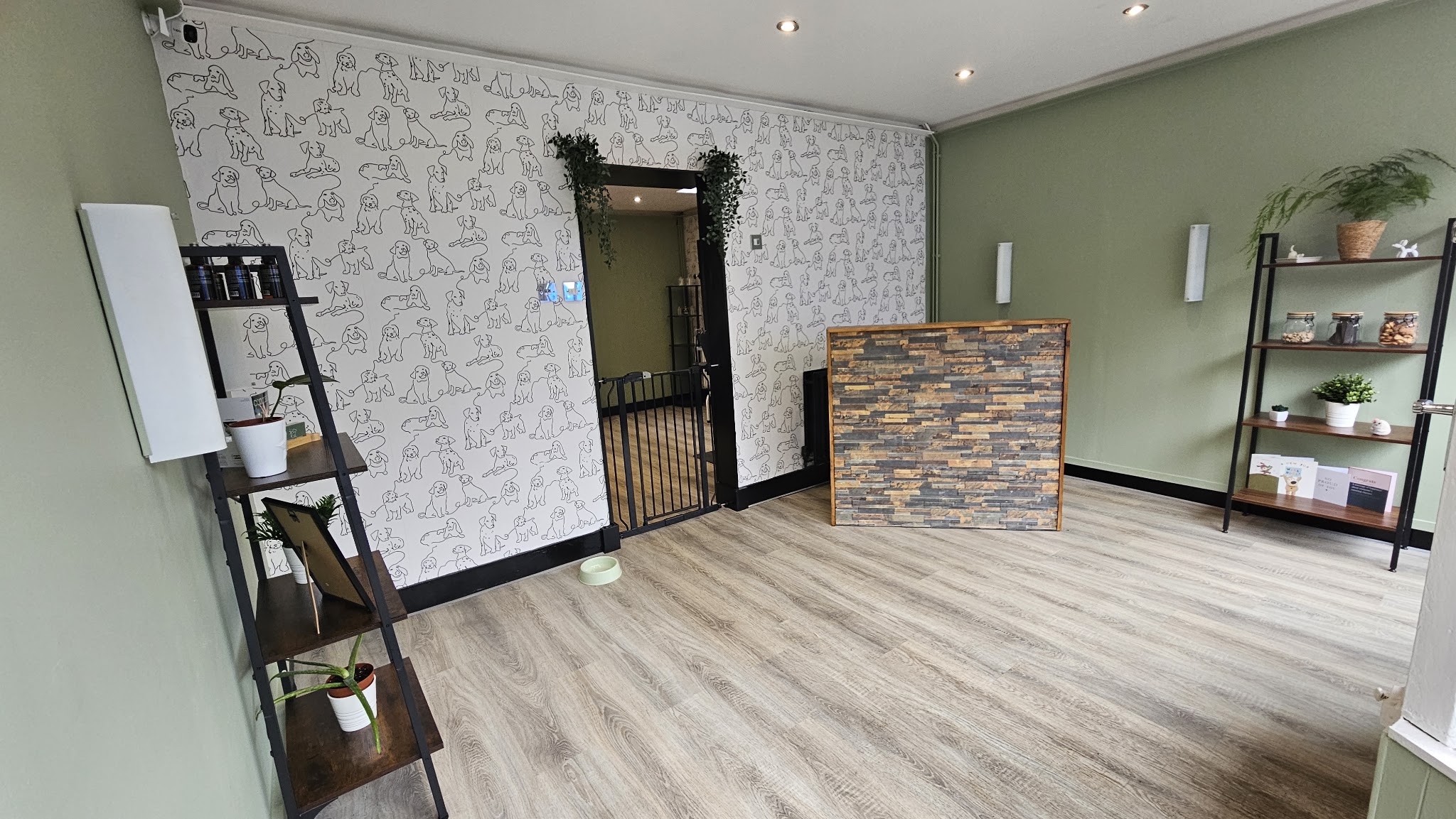 The salon reception with shelves, plants and a gated doorway through to the grooming room